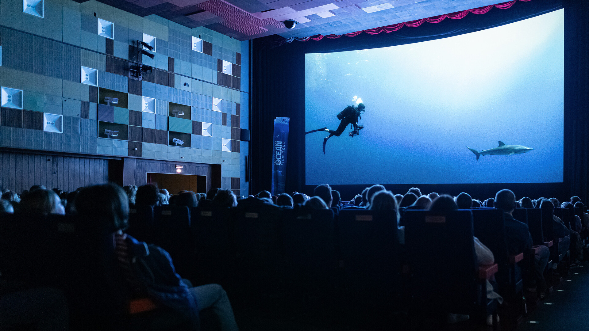 Cinema audience watching a documentary about diving and sharks on a large screen during a film event.
